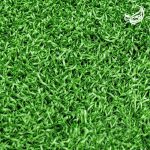 چمن مصنوعی فر 15 میل