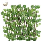 آکاردئونی برگ انگور