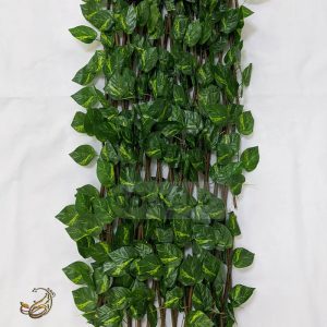 آکاردئونی پتوس