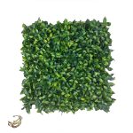 گرین وال ریحان