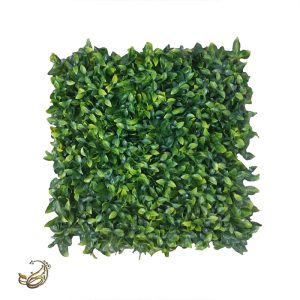 گرین وال ریحان