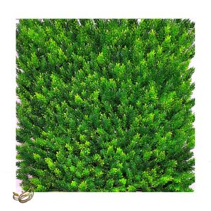 گرین وال کاج