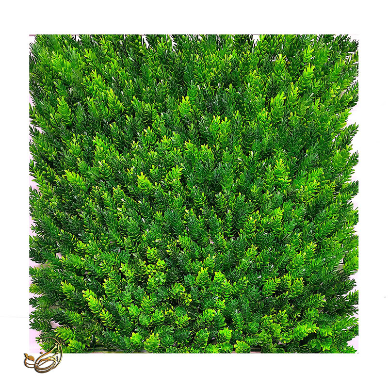 گرین وال کاج