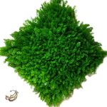 گرین وال کاج خارجی