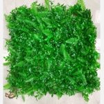 گرین وال سیکاس گشنیز