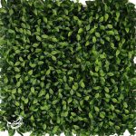 گرین وال کورتن