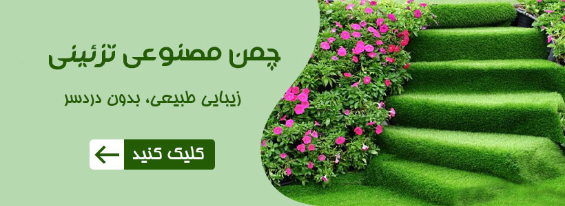 انواع دوربین و لنز