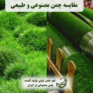 مقایسه چمن مصنوعی و طبیعی