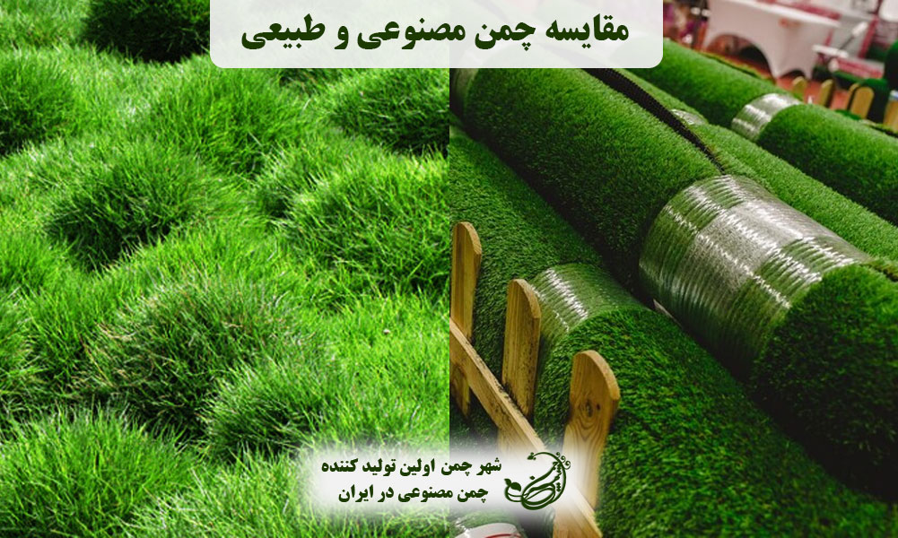 مقایسه چمن مصنوعی و طبیعی