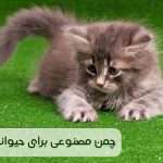 مزایا و معایب چمن مصنوعی برای حیوانات خانگی