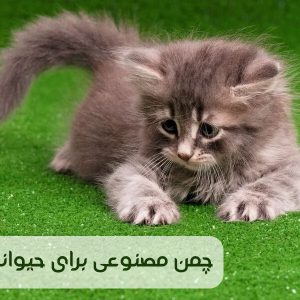 مزایا و معایب چمن مصنوعی برای حیوانات خانگی