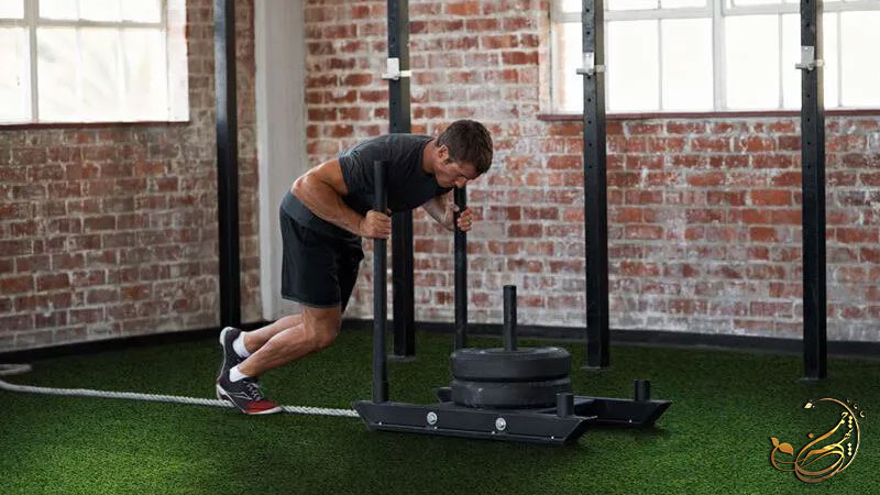 چمن مصنوعی باشگاه بدنسازی