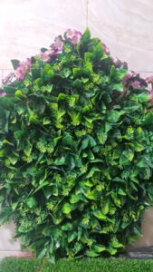 گرین وال برگ نارنج