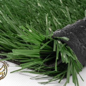 مونوفیلامنت تیره فوتبالی