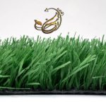 مونوفیلامنت تیره فوتبالی