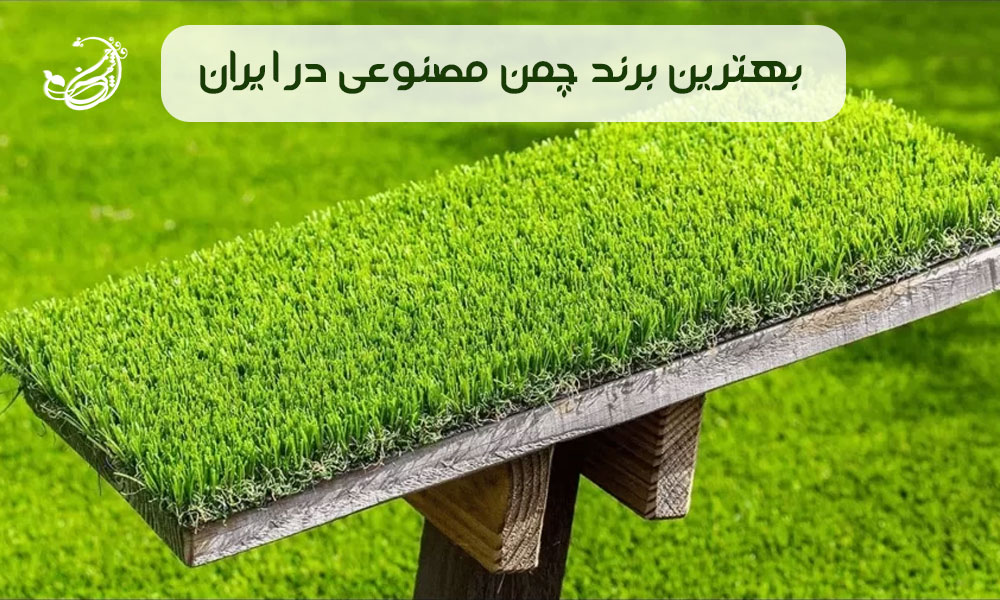 بهترین برند چمن مصنوعی در ایران