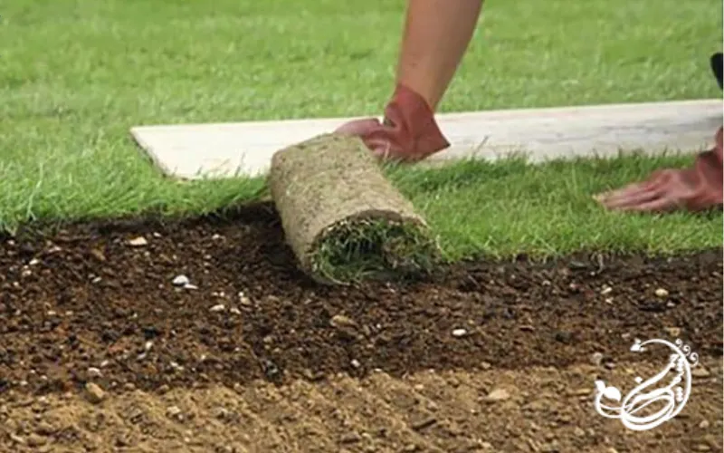 نصب چمن مصنوعی روی خاک در کشورهای پیشرفته
