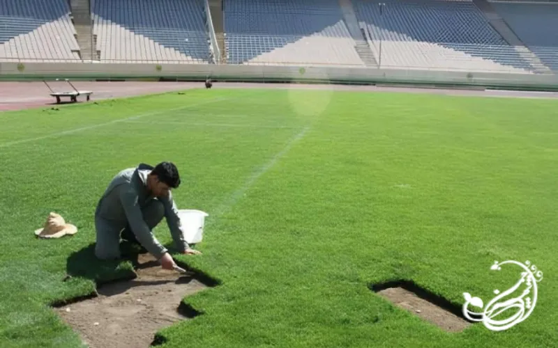 ترمیم چمن مصنوعی