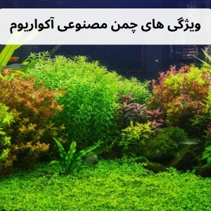 ویژگی های چمن مصنوعی آکواریوم