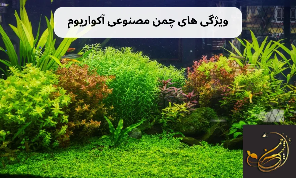 ویژگی های چمن مصنوعی آکواریوم