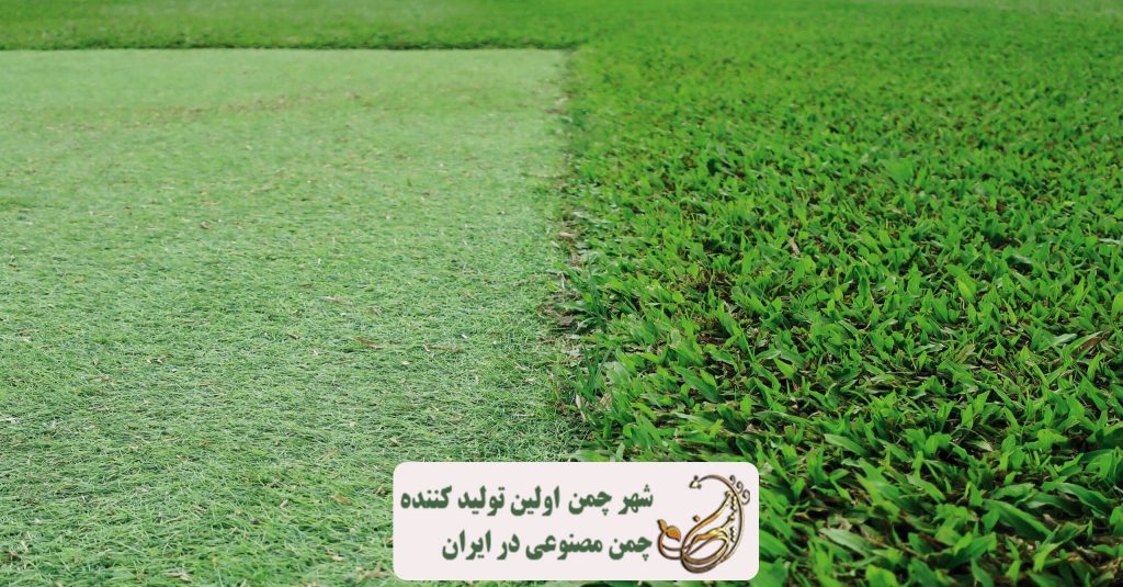تمام آنچه درباره تعویض چمن مصنوعی با طبیعی باید بدانید ! - شهر چمن