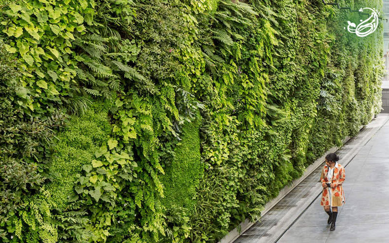 گرین وال پنلی