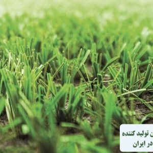آشنایی با چمن هیبریدی