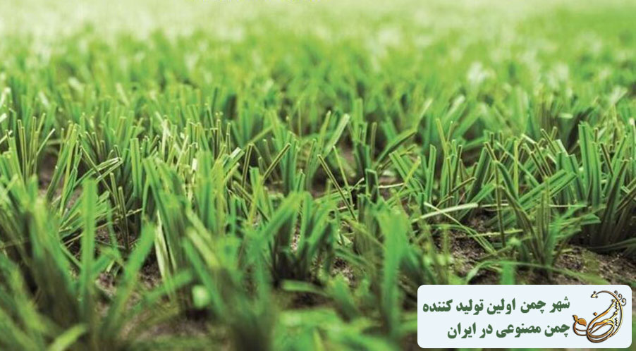 آشنایی با چمن هیبریدی