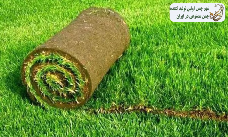 استفاده از چمن مصنوعی به جای طبیعی