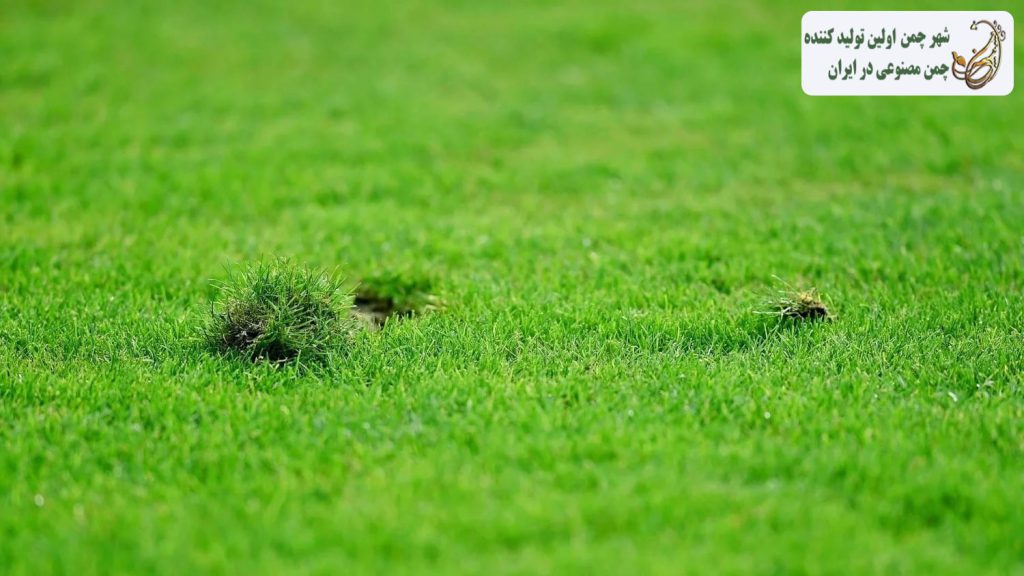 ترمیم سوختگی چمن مصنوعی