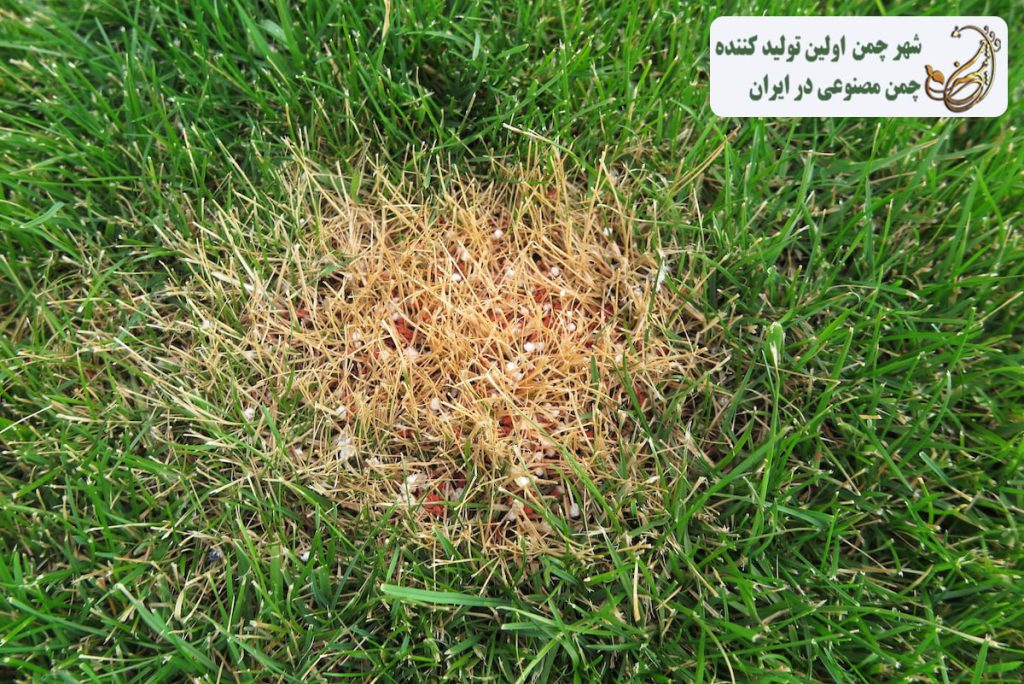 ترمیم سوختگی چمن مصنوعی