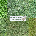 سازگاری چمن مصنوعی شرایط اقلیمی