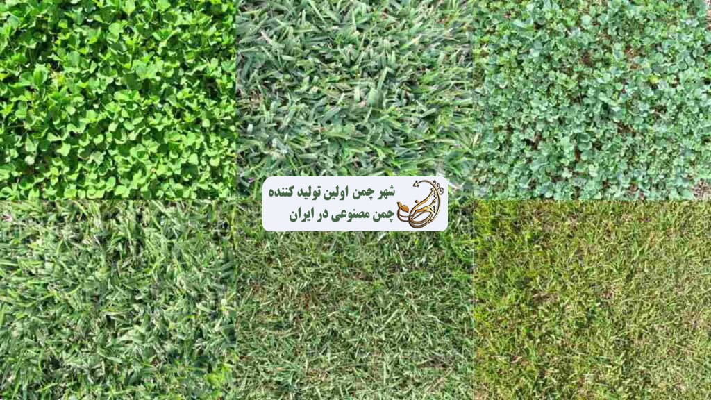 سازگاری چمن مصنوعی شرایط اقلیمی