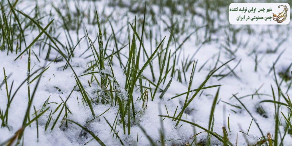 چمن مصنوعی در زمستان