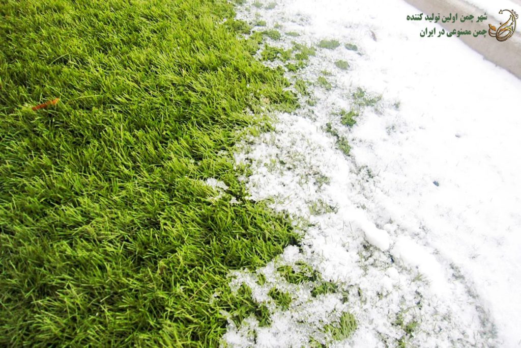 چمن مصنوعی در زمستان
