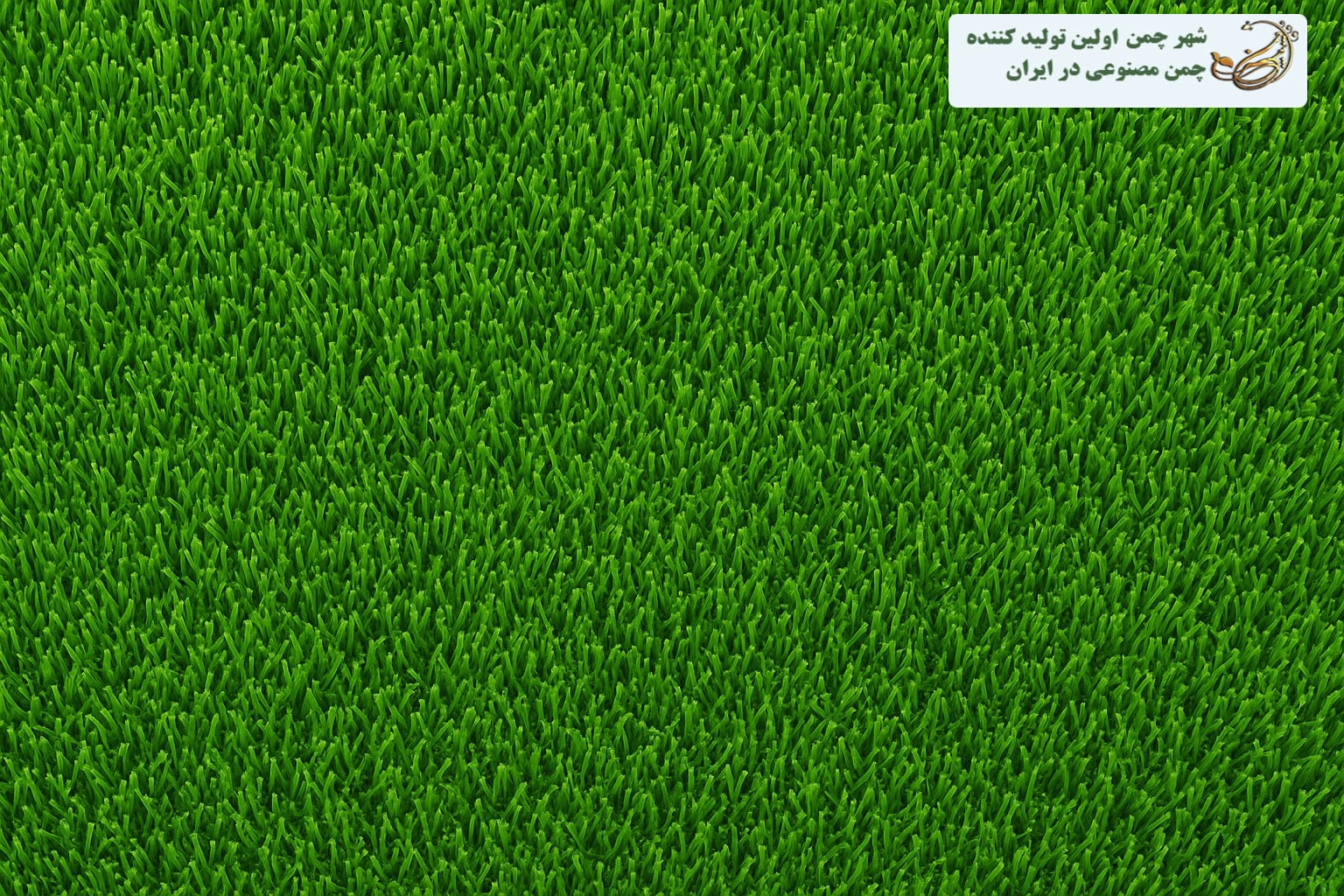 مقایسه چمن مصنوعی تک بافت و چند بافت