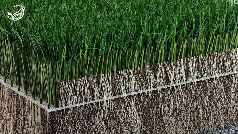 آشنایی با چمن هیبریدی