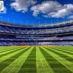 کاربرد چمن مصنوعی ورزشی