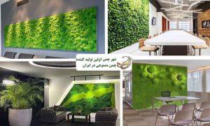 ایده های خلاقانه استفاده از دیوار خزه ای در محیط اداری