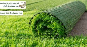 چمن مصنوعی کریکت چیست