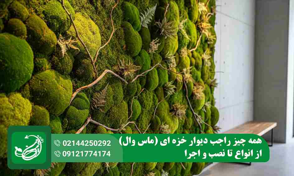 دیوار خزه ای