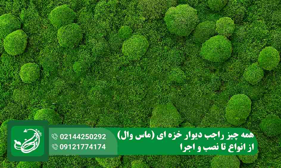 دیوار خزه ای