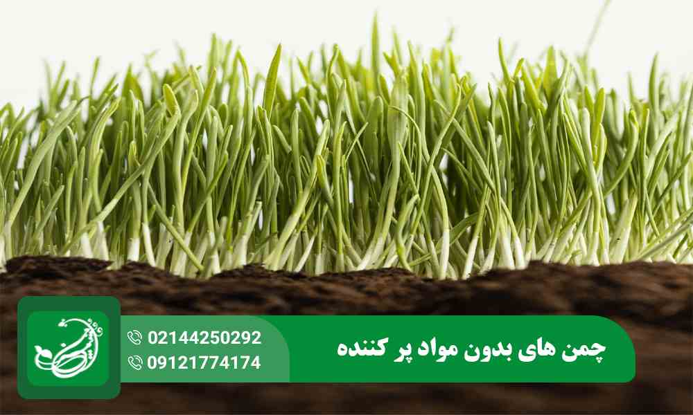 چمن های بدون مواد پر کننده