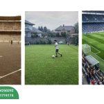 تاریخچه چمن مصنوعی