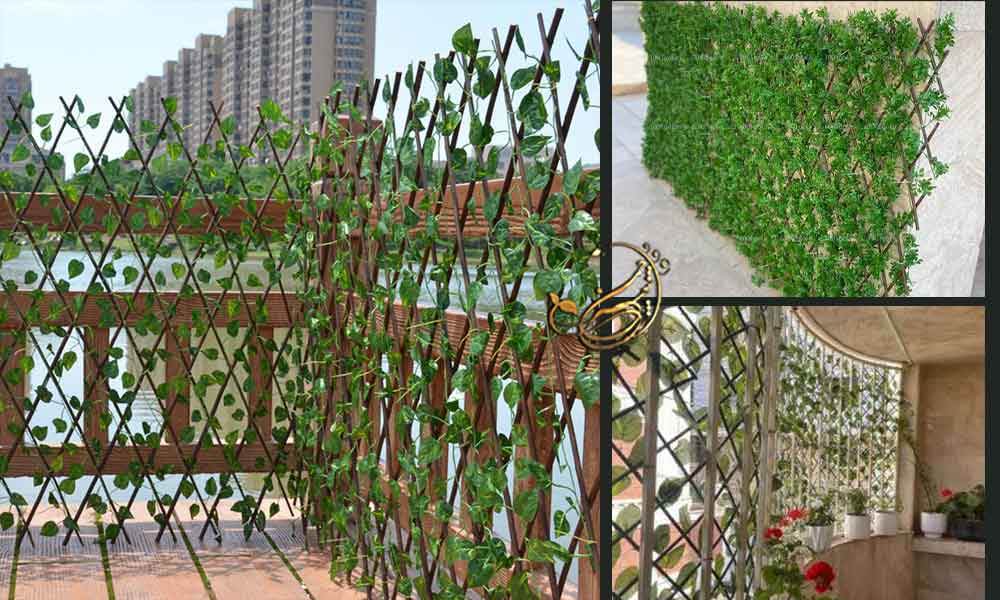 گرین وال آکاردئونی